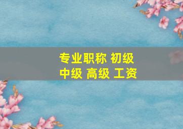 专业职称 初级 中级 高级 工资